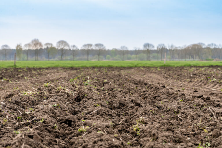 20230419-Van Iersel Haaren - BL-02353